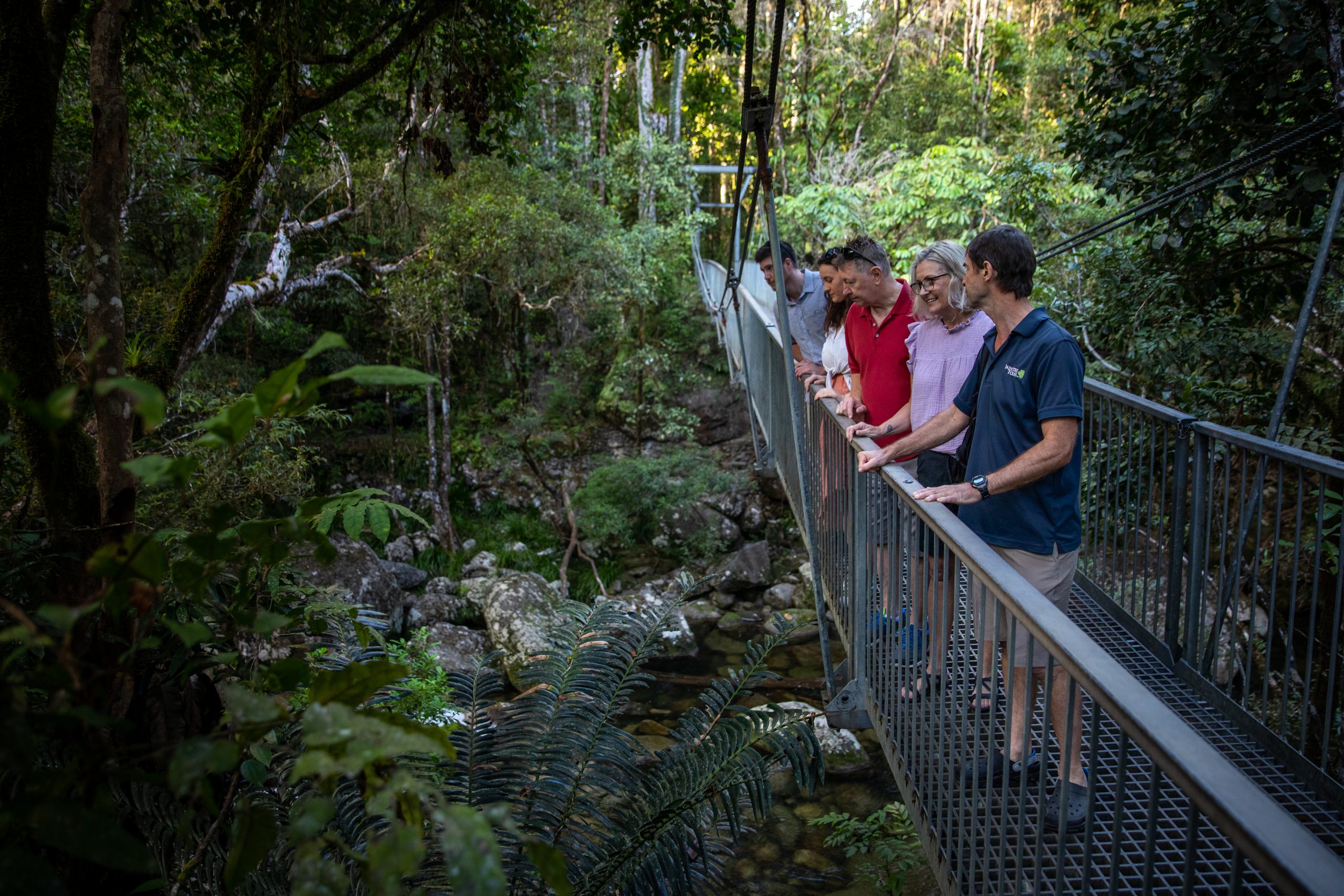 Daintree Tour Guided Rainforest Walking Tour Port Douglas