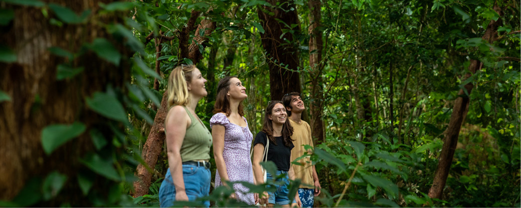 Friends walking through the Fitzroy Island Rainforest