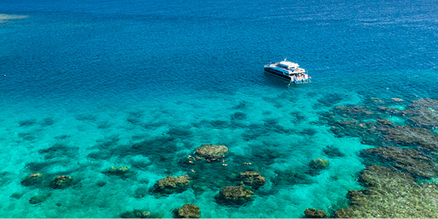 Calypso Snorkel & Dive at Outer Barrier Reef