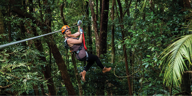 Zipline at Cape Tribulation with Treetops Adventure