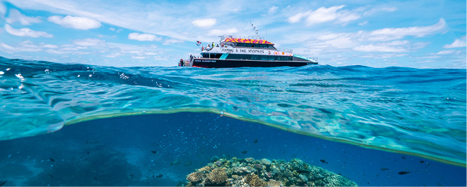 Cruise Great Barrier Reef from Cairns with Dreamtime